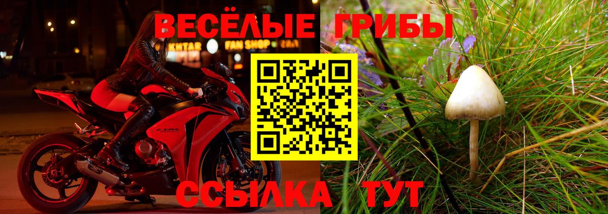 Нефтекамск  Галлюциногенные грибы мицелий  Вход с VPN  Галлюциногенные грибы ЛСД 